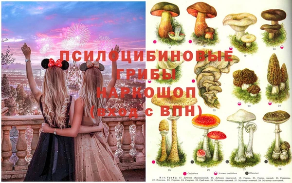 соль курить ск Аркадак